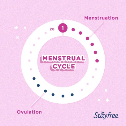 Tracking your menstrual cycle 
